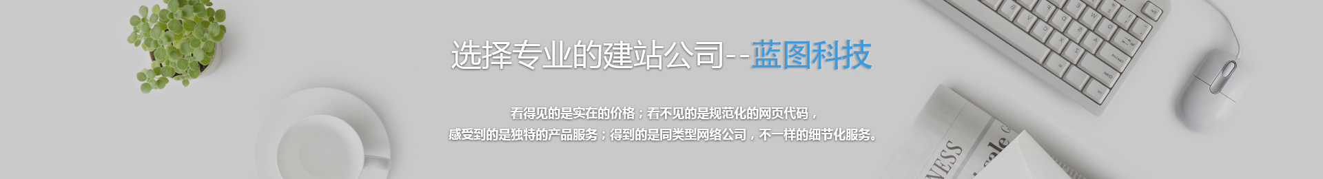 中山专业的网站建设公司蓝图科技