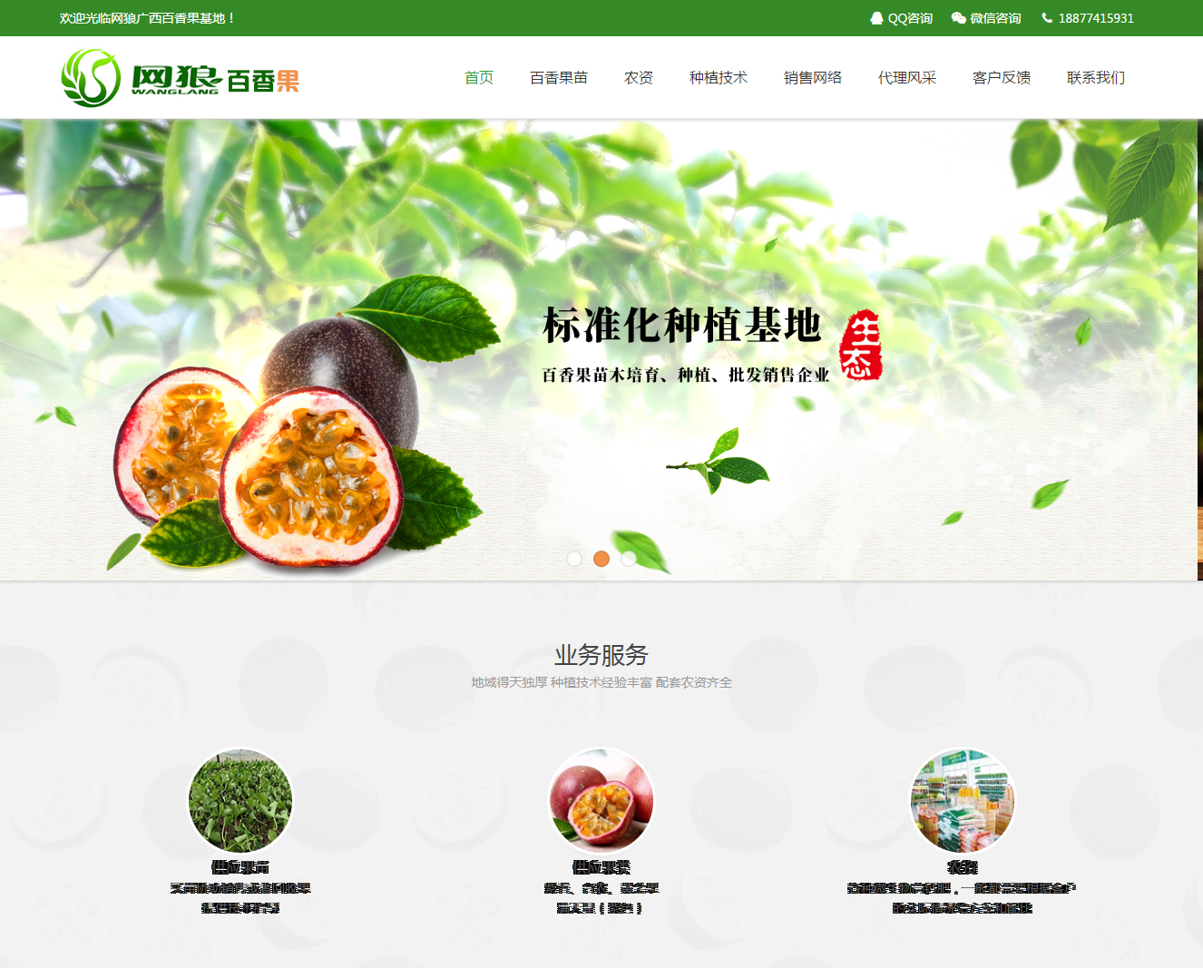 中山SEO
