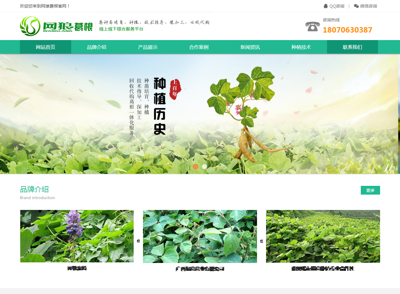 中山网站建设