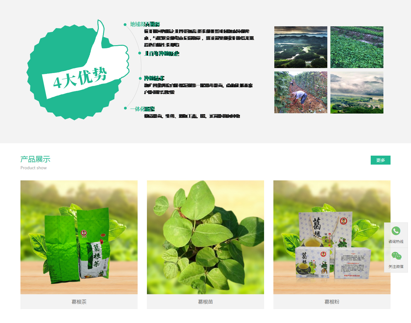 中山网络公司