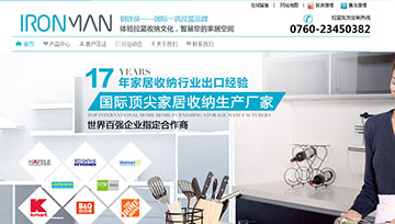 阜沙网站建设案例一