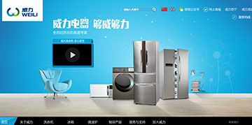 阜沙网站建设案例二